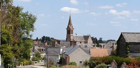 Couvreur Vienne-en-Val